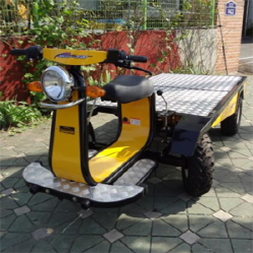 Electric Vehicle(SJE 3100)