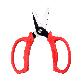 full image Garden Scissors