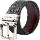 full image LineFit Men's Belt_Casual Dress Classic Jean Adjustable Automatic Stretch Buckle T01 Nickel (Sizes 2