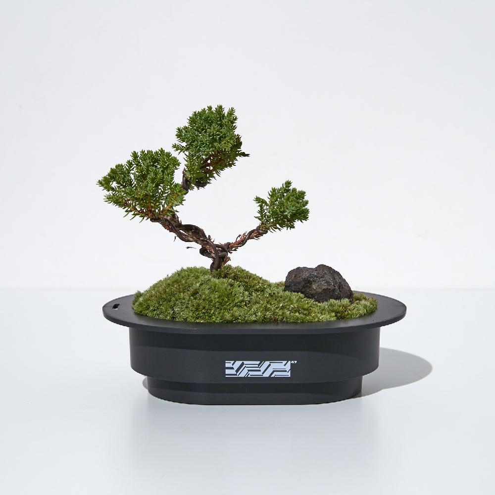 Pot Cappadocia Midnight