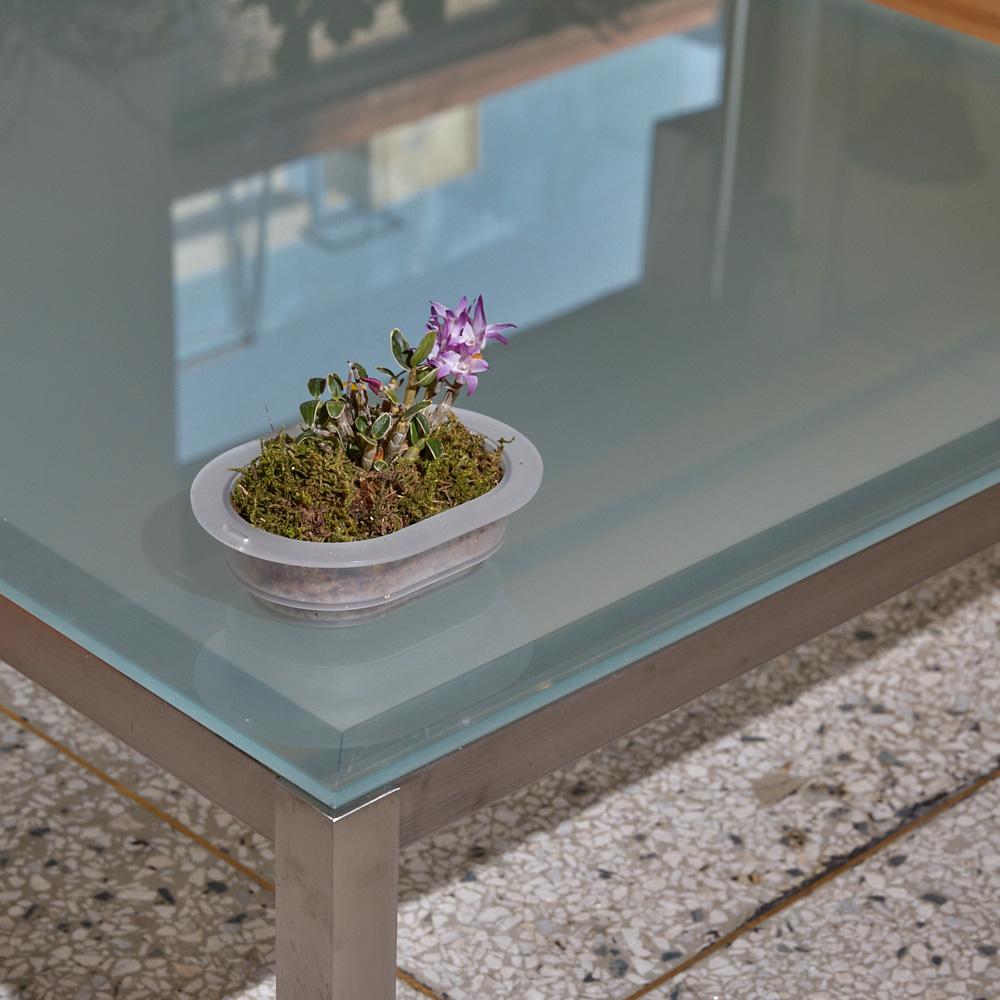 Pot Cappadocia Mystic Fog