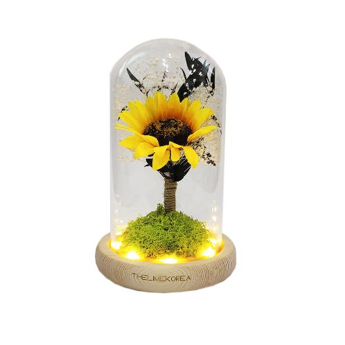 LED lucky sunflower glass dome mood light Gift