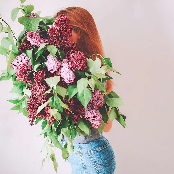 Dream of Me –  K-beauty medical tourism package